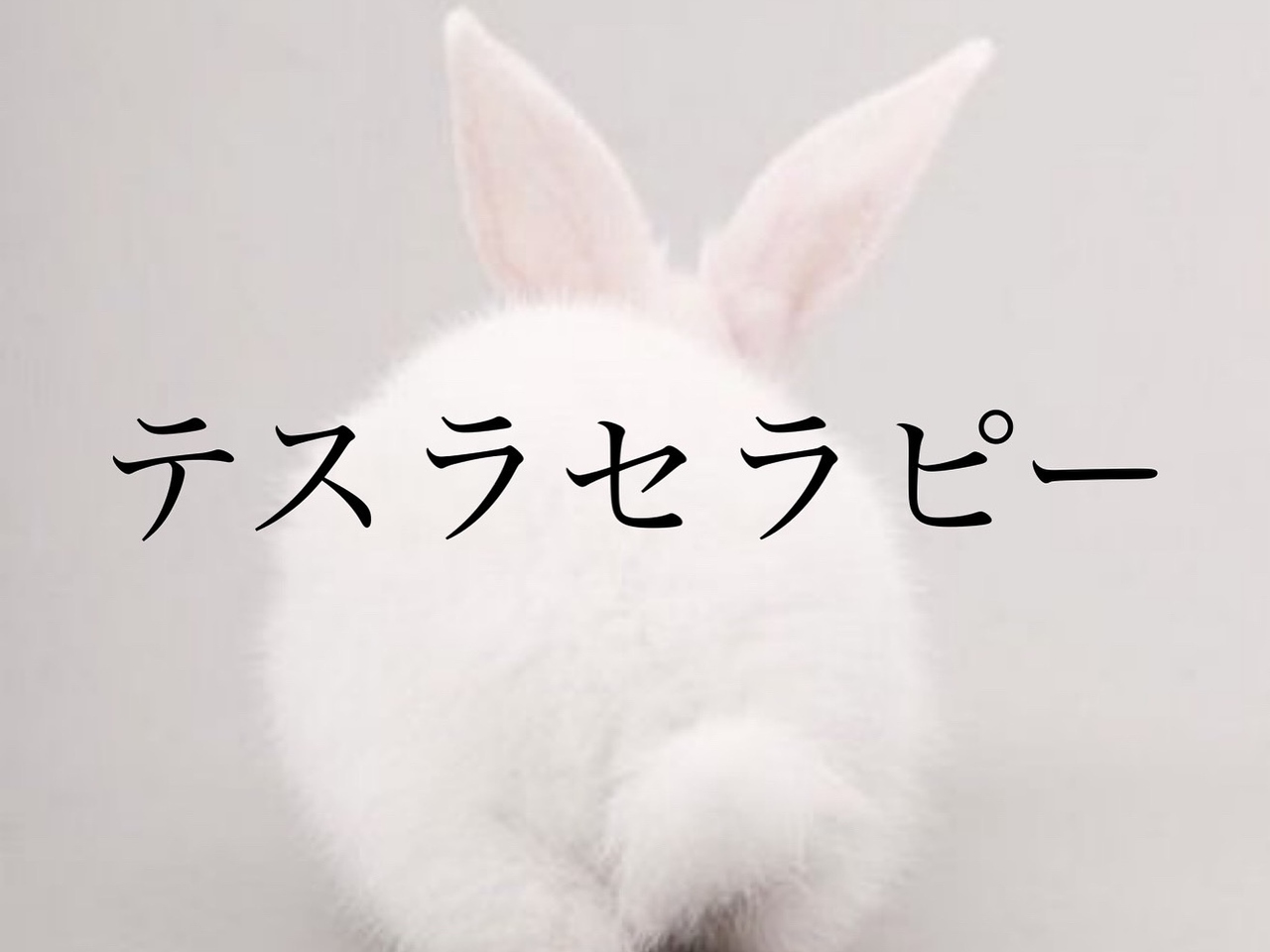 ハーゼ(Hase)/テスラセラピー◎リフトアップ
