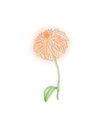 ダリア(Dahlia)/Eyelash Salon Dahlia