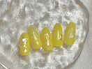 フェミニンコレクション