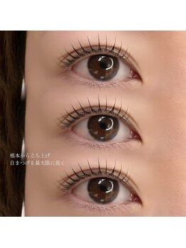 ヴィフ(Vif)/パリジェンヌラッシュリフト