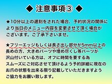 ビューティーサロン フラワーズ/◆当サロンの注意事項◆【3】