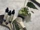 private nail care salon Ruberの写真/大人女性へ。ハンドケアーを大事にしている高技術×モチの良さが叶うサロン☆