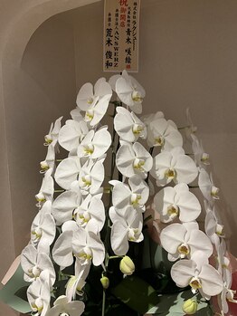 ヴェリティー(Verity)/胡蝶蘭に囲まれて♪