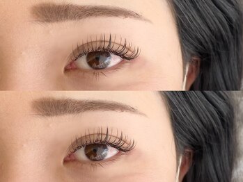 エルドット 八尾店(L.)/フラットラッシュ150本