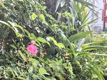 ほぐし手すっきりん 那覇小禄店/massage　もみほぐし　小禄