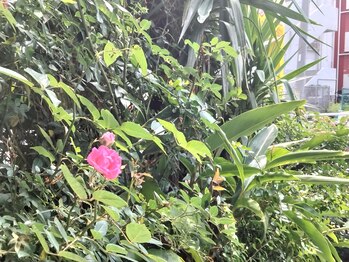 ほぐし手すっきりん 那覇小禄店/massage　もみほぐし　小禄