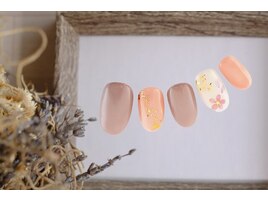 さくら　夜桜　【11162】