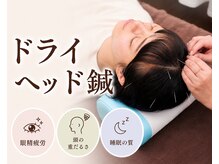 しんのう鍼灸院/ドライヘッド鍼