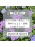 【季節限定：鍼灸整体】低気圧頭痛・だるさ改善◎¥7800(60分)