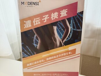 マカロン(Macaron)/遺伝子検査