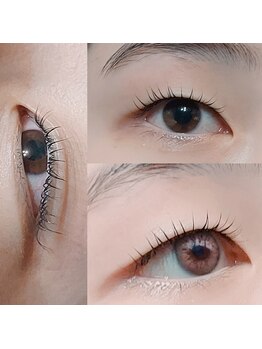 アーティストシーナ/シェル