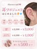 【ネイルとセットでご予約の方】耳ツボジュエリー同時施術☆20粒まで￥3500