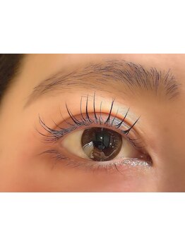 初めての方にオススメ