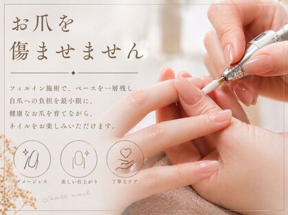 シャール(shall)の写真
