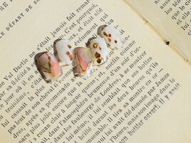 3月select(Q)6,980円/全10種