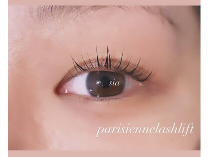 シア(sia)の写真