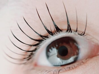 サロン ジュウ(salon Jyuu.)/フラットラッシュ