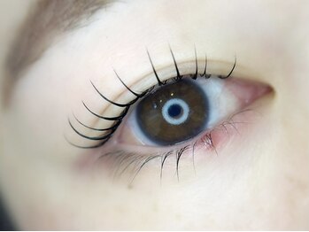 ケイラッシュ(K-LASH)/