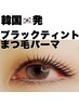 【初回限定】大人気★韓国ブラックティントパーマ（マスカラパーマ）5900円
