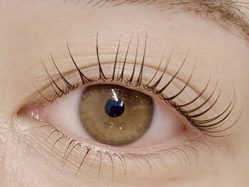 ダズル(DAZZLE)/パーマ上下