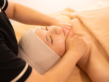 コルギサロン ヴィサンテ(Visante)