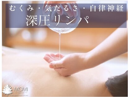 モミ(MOMI)の写真