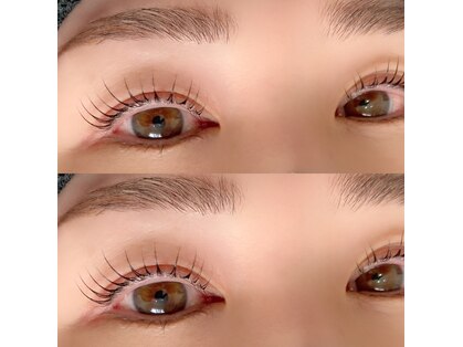 マタマルル(matamaururu)の写真