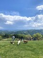 ジリー アイラッシュ(gilly) 景色が綺麗な場所が好きです！オススメ教えてください◎