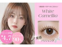 ホワイトカメリア(White Camellia)