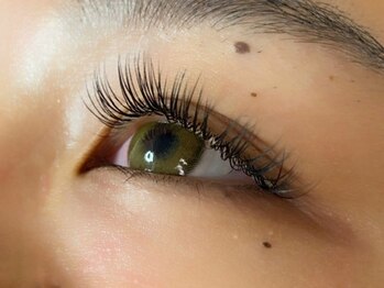 ウルカ アイラッシュ(uruka EYELASH)/フラットラッシュ 160本