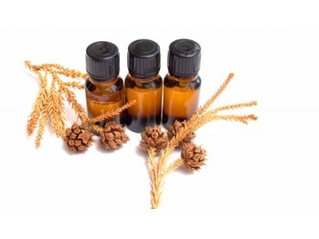 てもみん 楽楽/選べるアロマオイル