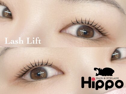 ヒッポ(Hippo)の写真