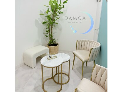 ダモア(DAMOA)の写真