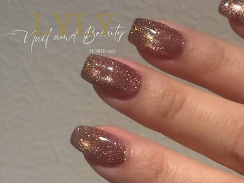 リリー ホリエネイル(LYLY HORIE nail)/マグネットフラッシュ