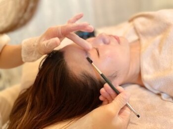 ジェミニ(Gemini)/眉毛の長さや流れを確認