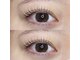 ロイヤルアイラッシュ(ROYAL eyelash)の写真