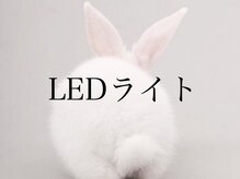 ハーゼ(Hase)/LEDライト◎たるみ/毛穴/むくみ