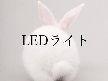ハーゼ(Hase)/LEDライト◎たるみ/毛穴/むくみ