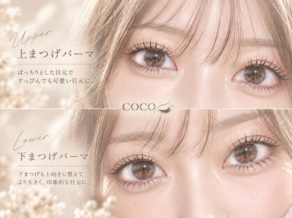 ココ(coco)の写真