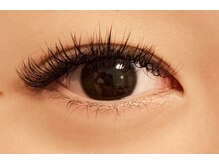 マリーノ アーユルヴェーダエステアンドヨガ/ボリューム4D　120束 約480本