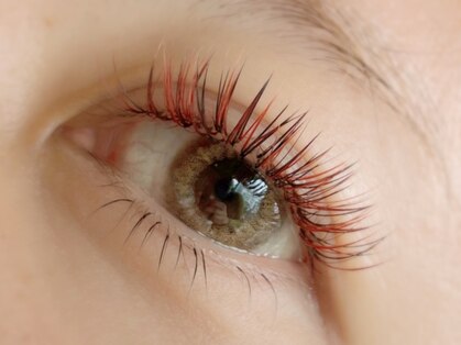 アイラッシュコロール(eyelash Koror)の写真