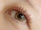 アイラッシュコロール(eyelash Koror)の写真