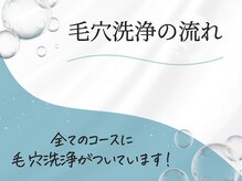 シャルトルズ 広島八丁堀店/【毛穴洗浄の流れ】