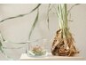女性のための癒し時間【ペア限定】よもぎ蒸し×ラドン水付き〈50分〉