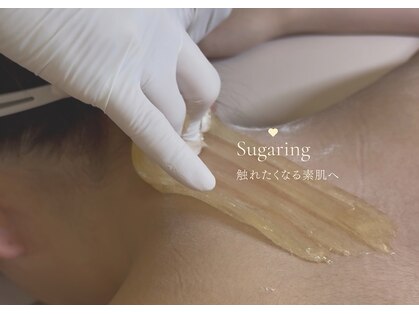 ピヴァーチェ(Pivace)の写真