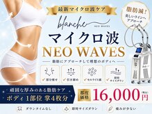 オリエンタルローザ 表参道(Oriental Rosa)/マイクロ波NEO WAVES液状化痩身