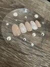 限定　シンプルコース