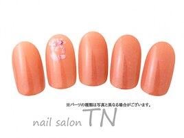7月季節の定額4900円コ―ス