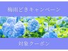 【人気No.1】全身ボディケア70分+炭酸ヘッドスパ20分　¥7,500→¥6,400