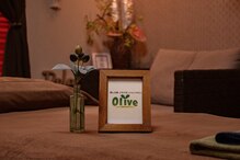 オリーブ癒しの家 尾道